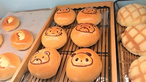 くまねこぱん